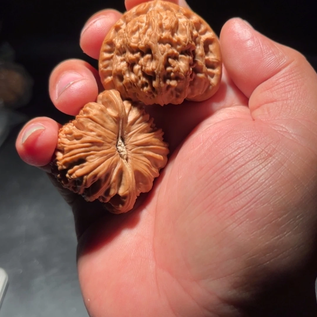 【闪购商品】掌**月文玩核桃木制手把件