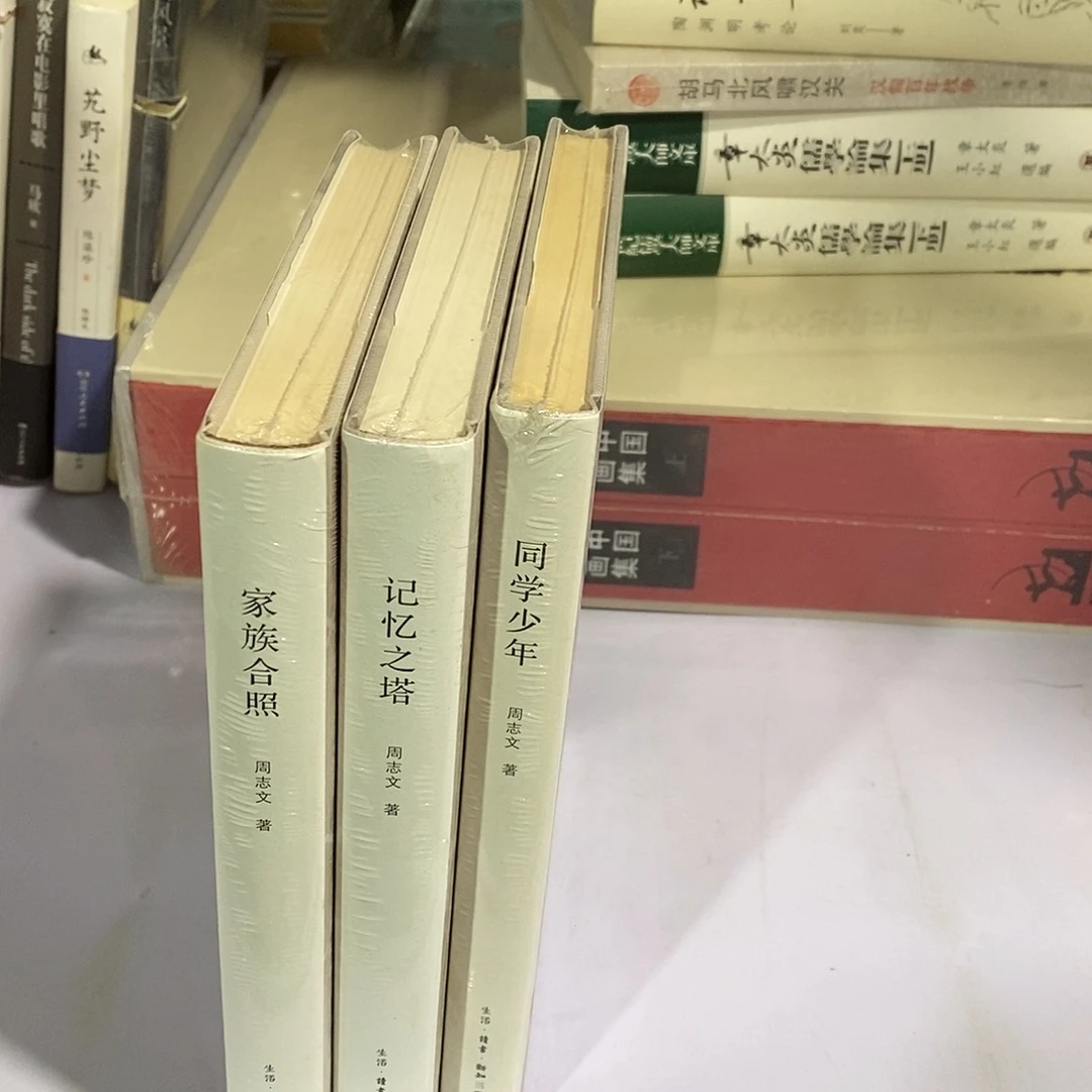 记忆三书共三本…………………………