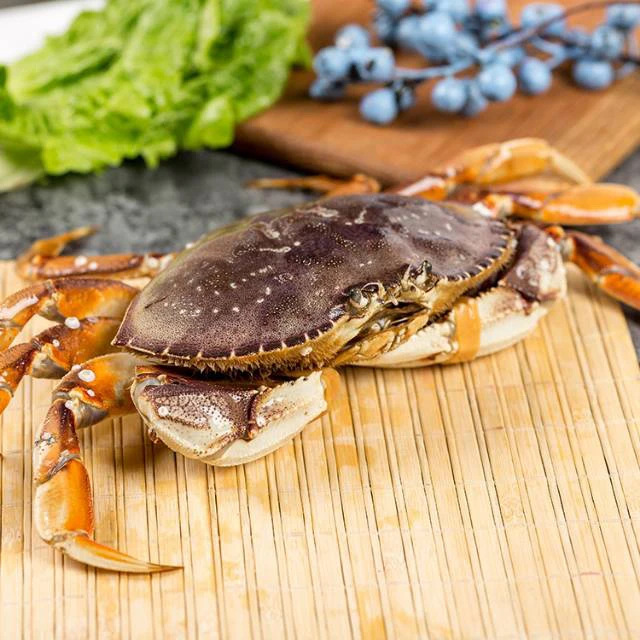 鲜活珍宝蟹700g左右蟹同城配送海鲜