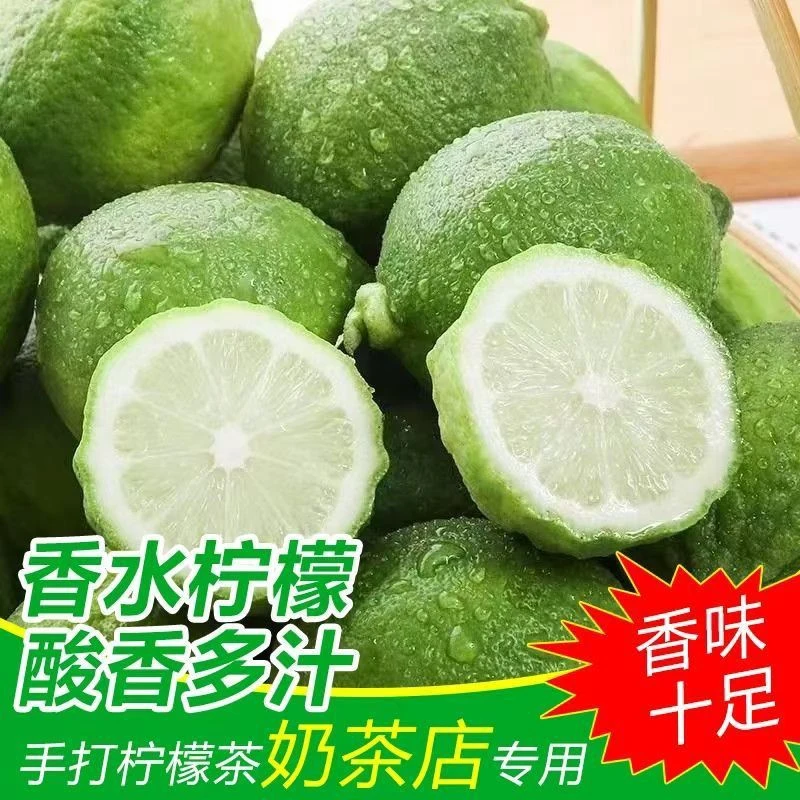 【纯酸无甜】一级香水柠檬新鲜采摘无籽大果四季鲜香奶茶店路边摊用