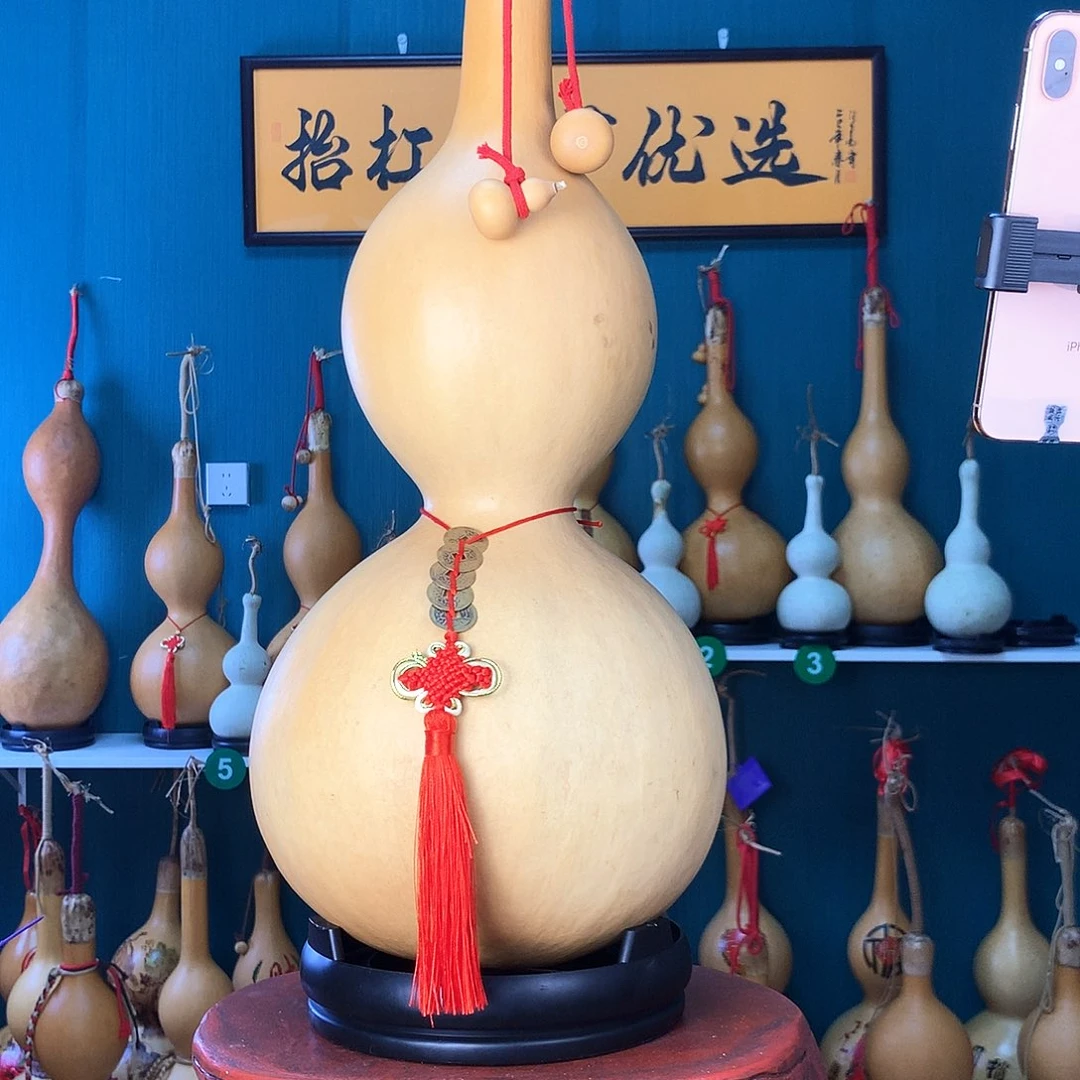 通***裤Fghjkjgvfdfgjkooutrery