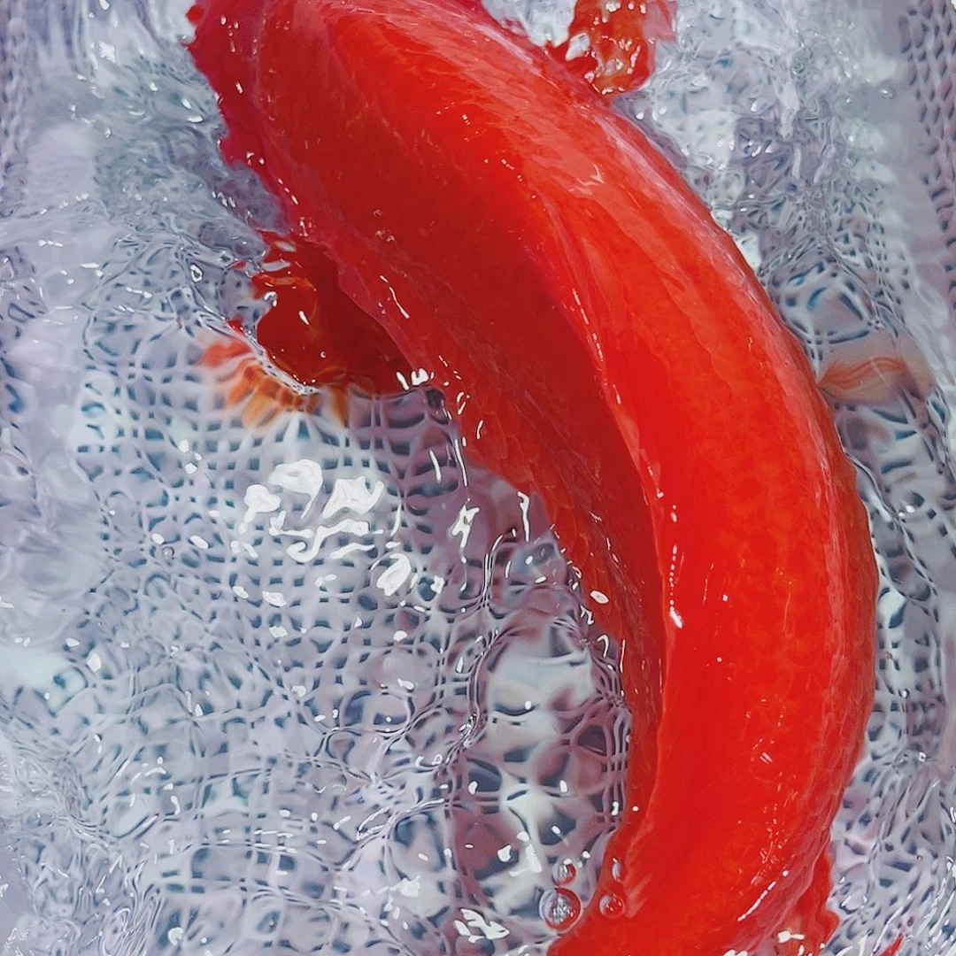 锦鲤锦鲤冷水鱼观赏