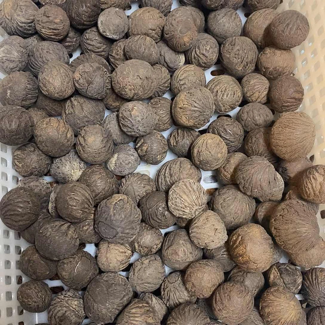 吊坠橄榄核文化交流