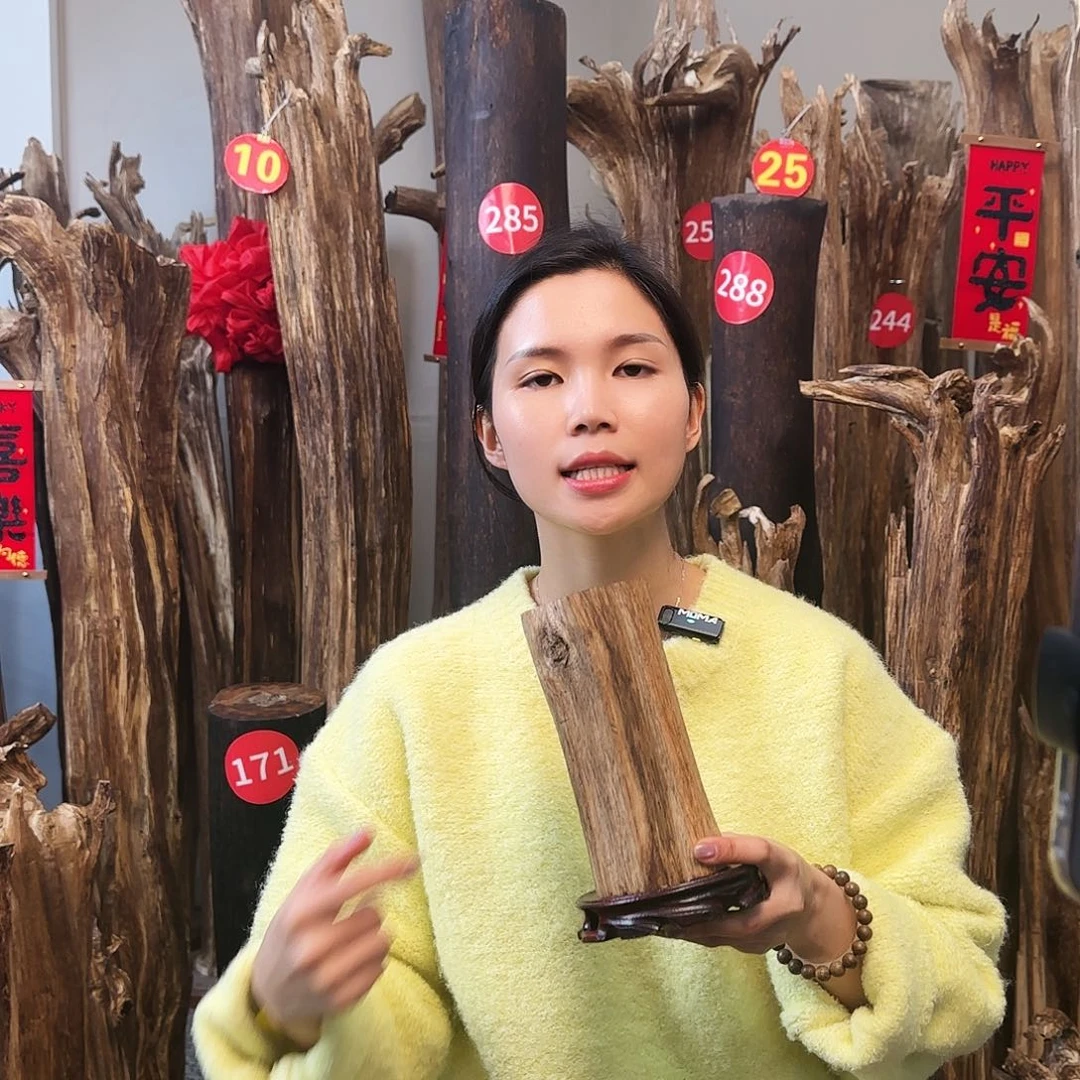 沉香木摆件沉香原木工艺品摆件➕底座