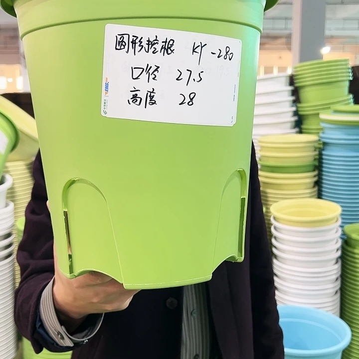 正品圆控口27高28果绿5只带托