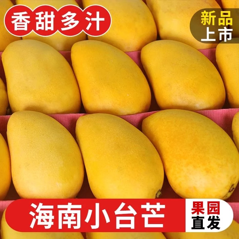 【明日必达】海南小台农芒果5斤新鲜现摘小台芒应当季热带水果特产芒果包邮小台农小台农鸡蛋芒