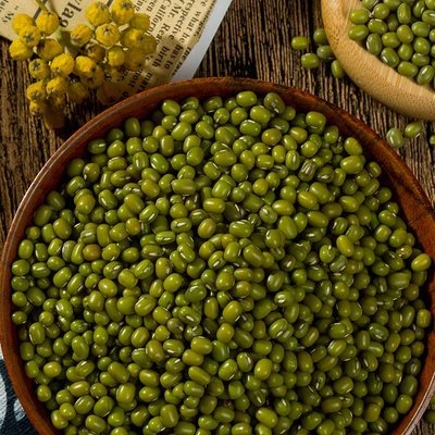 东北绿豆新鲜农家可发芽粮油颗粒饱满肉多皮薄杂粮出沙绿豆粥煮粥