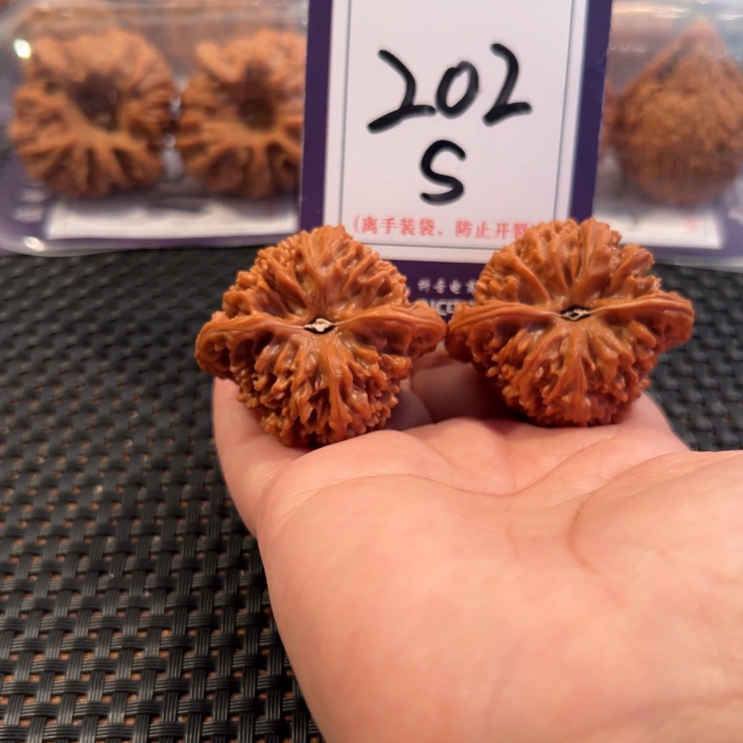 文玩核桃把件202号满天星41全品