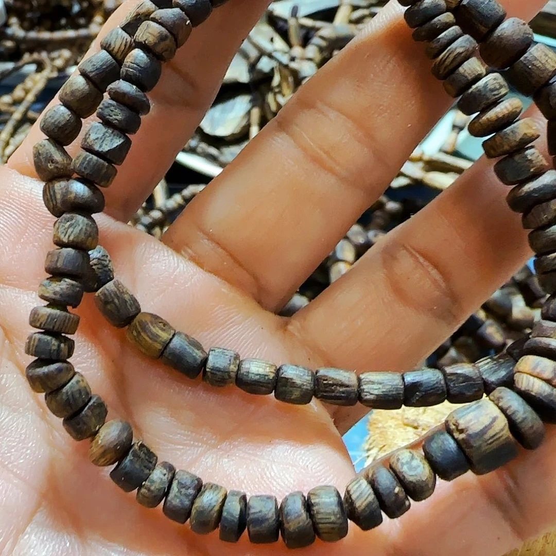 香榧木绿棋楠金沙叶随形单，2条