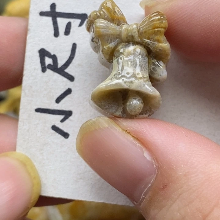 硅化珊瑚（珊瑚玉）未镶嵌颈饰