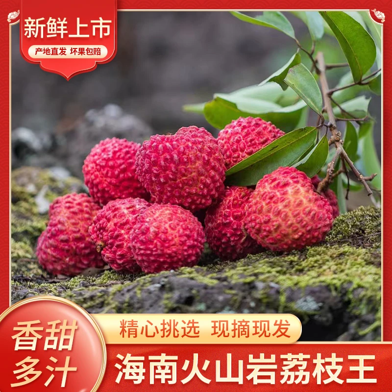 【顺丰空运】海南火山岩荔枝王新鲜现摘当季水果孕妇时令甜荔枝