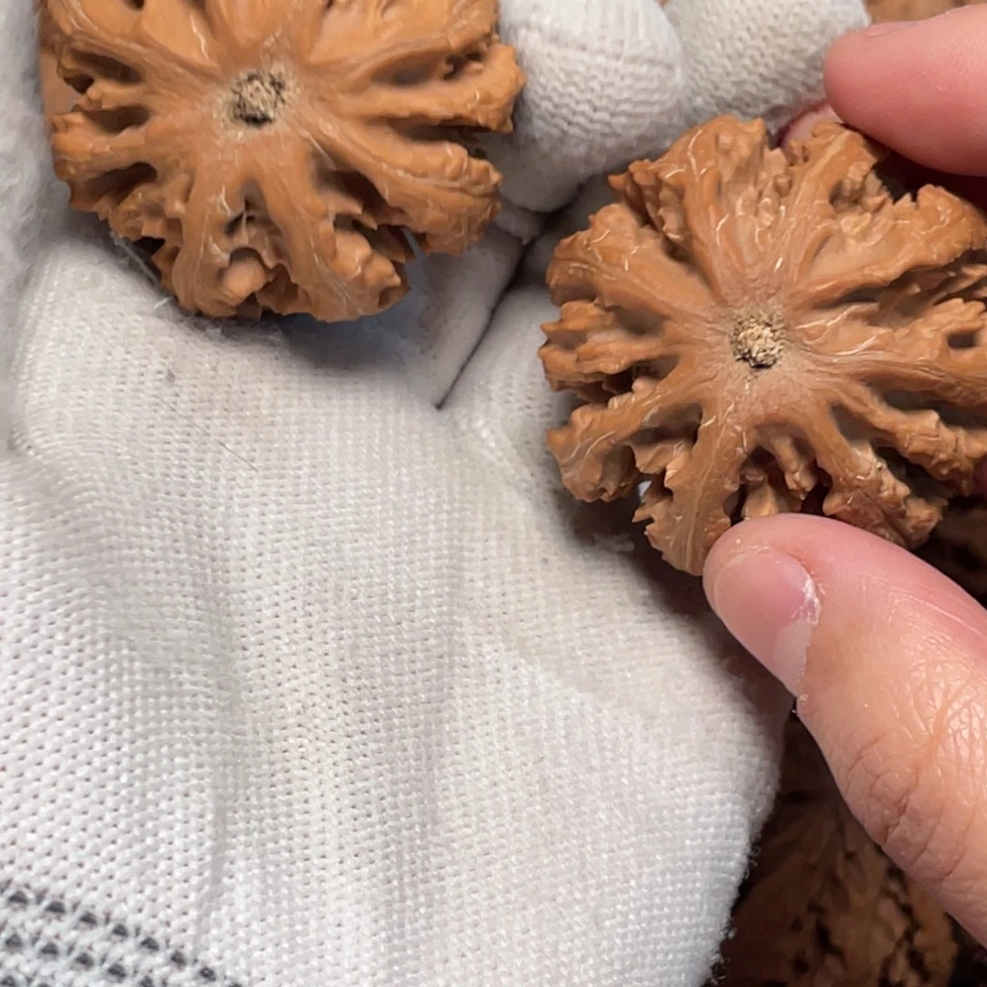 休***钓桃核把件55 秦岭灯笼野生小众