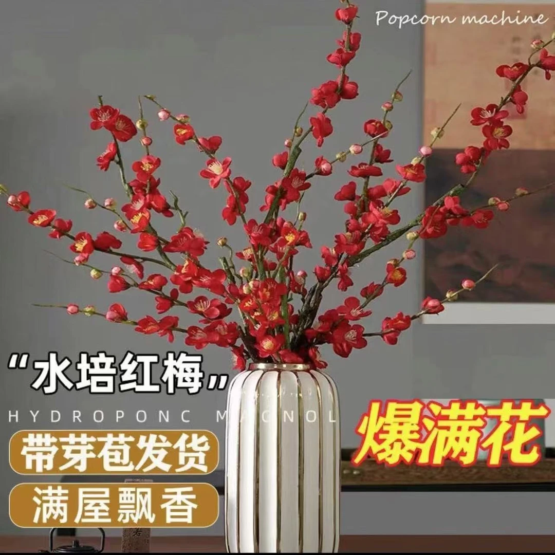 年宵花卉红梅干枝水培植物鲜切花带花苞腊梅花卉室内桃花客厅盆栽