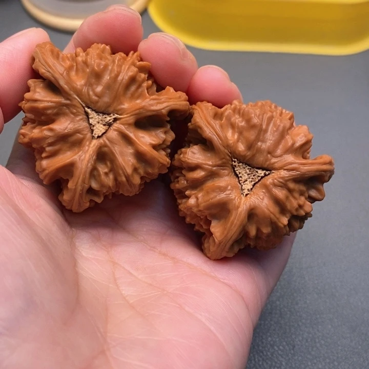 木质类U*核桃核桃