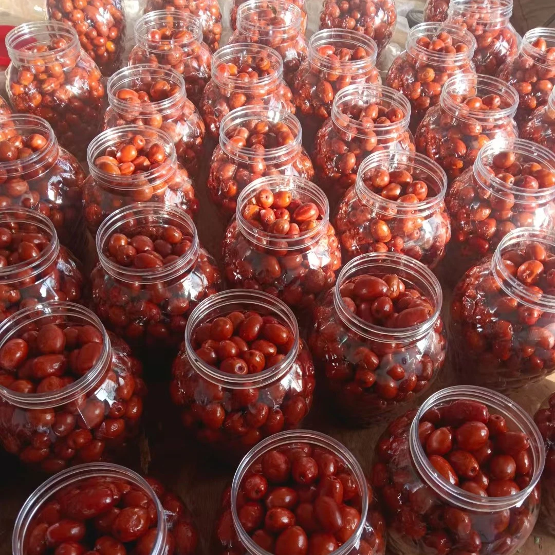 沧州金丝小枣醉枣今年新货