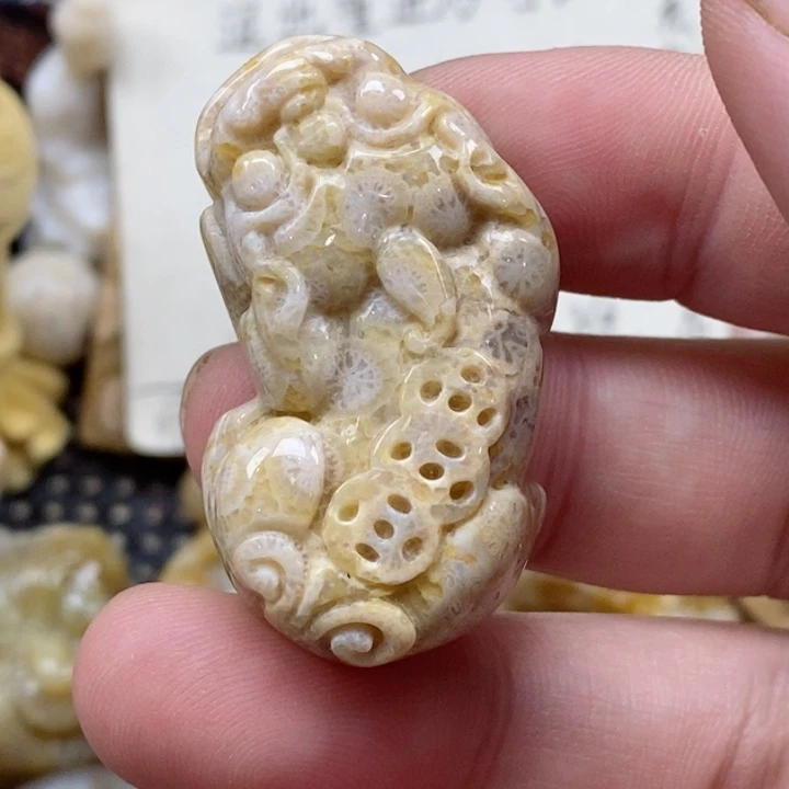 颈饰未镶嵌硅化珊瑚（珊瑚玉）A****y