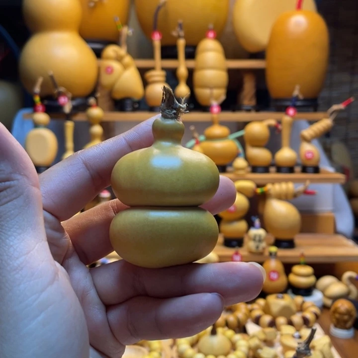 擎***天然葫芦自然生长