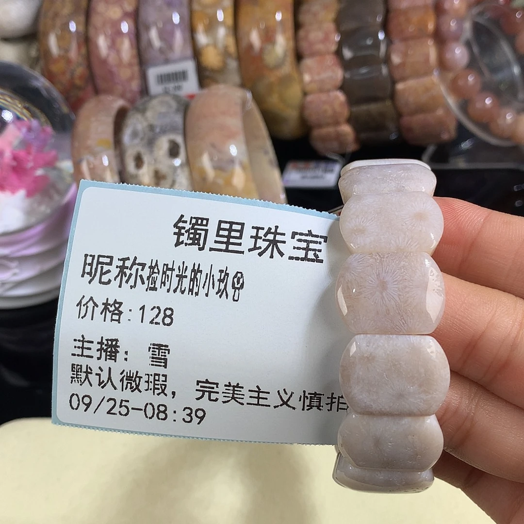 捡****硅化珊瑚（珊瑚玉）未镶嵌吊坠(赠链)