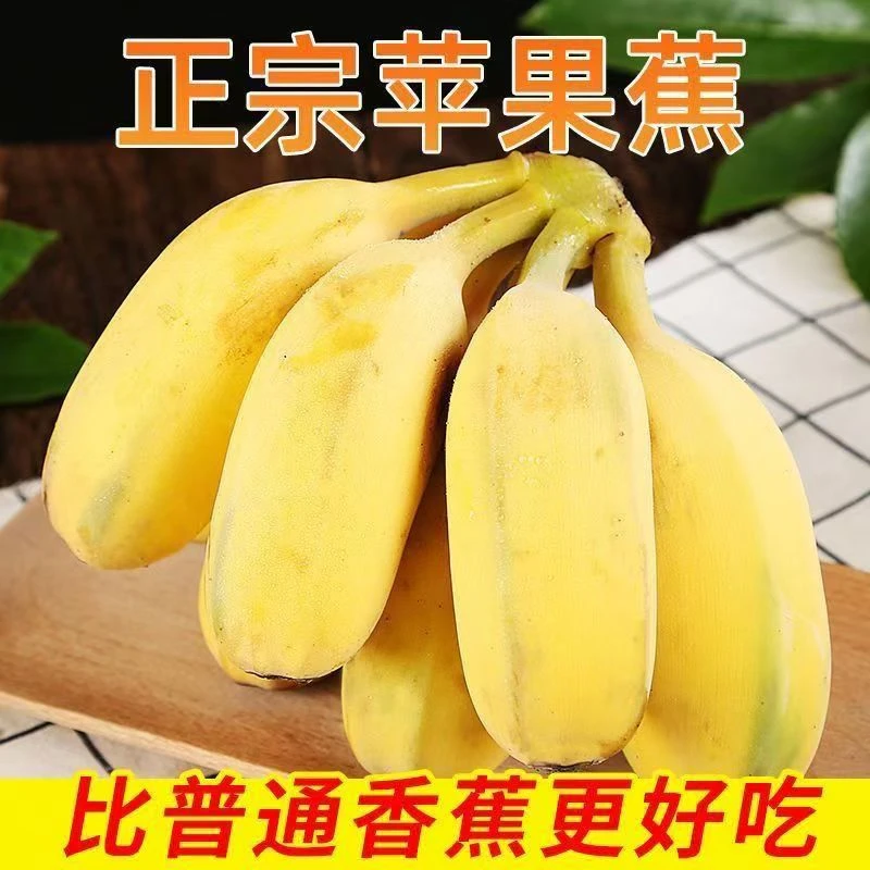 广东产地现摘苹果蕉维生素c软糯香甜当季新鲜水果香蕉