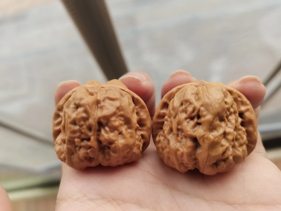 1号精修打底蛤蟆头核桃，尺寸跟着直播走