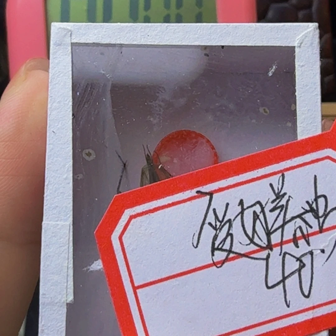 哈哈哈哈哈哈哈哈哈哈哈哈