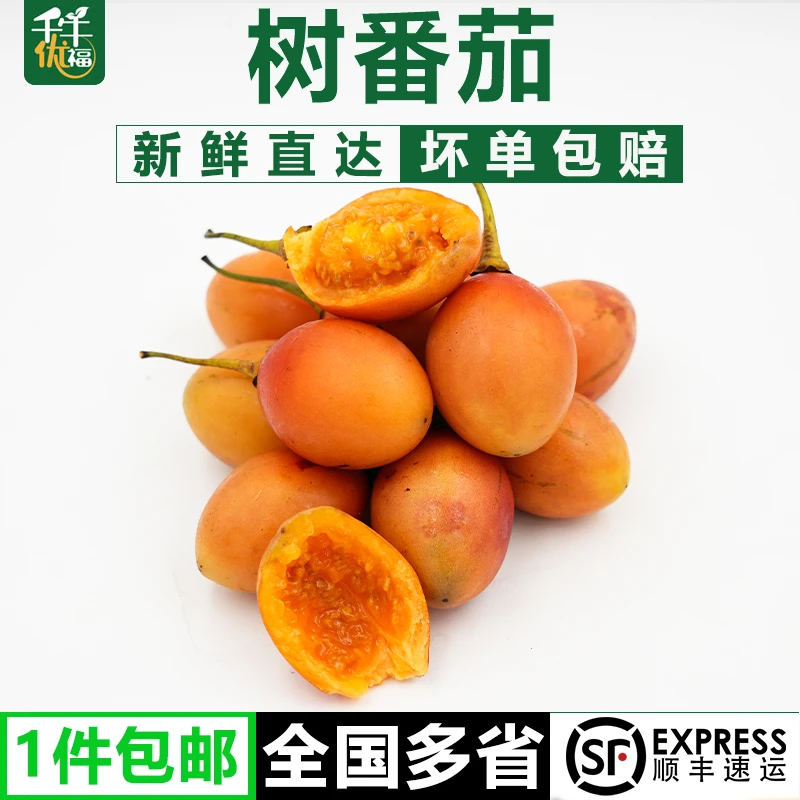 大树番茄半斤-5斤 新鲜洋酸茄鸡蛋果缅茄傣味树酸茄凉拌水果蔬菜