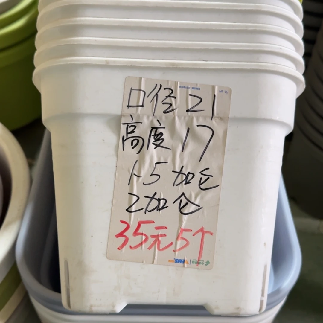 新款方盆口径21无拖果绿5个