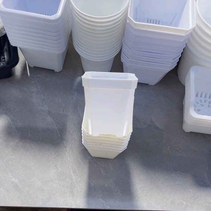 白方口7高7一组30个