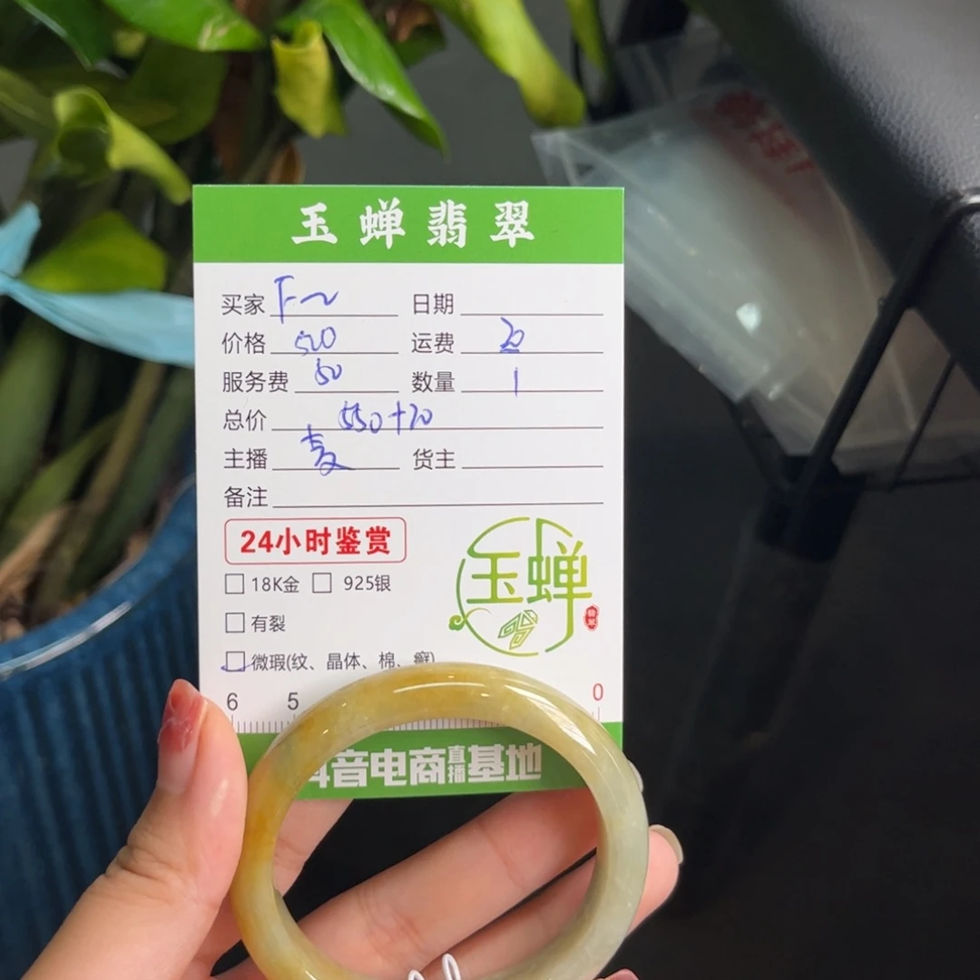 F****未镶嵌手镯翡翠手镯