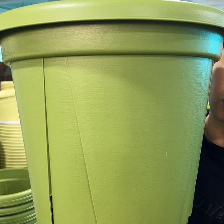 正品青山口40号35果绿色5只无托