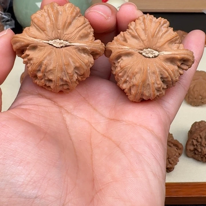 文玩核桃把件全品白狮子43