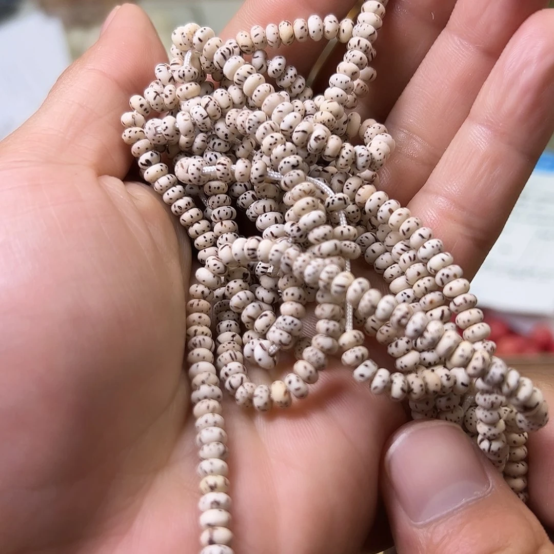 菩提根/象牙果手串5条星月1100颗5尺寸