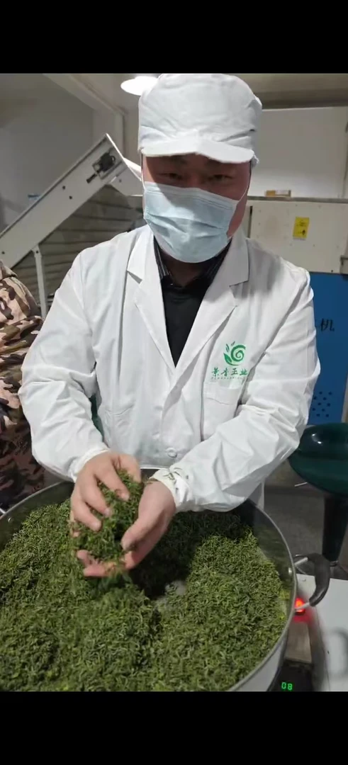 TJ3正品安吉白茶  四标一码一监制 七巧手工茶