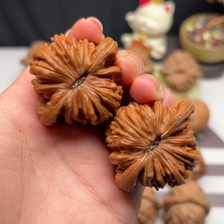 核桃45福利四座楼