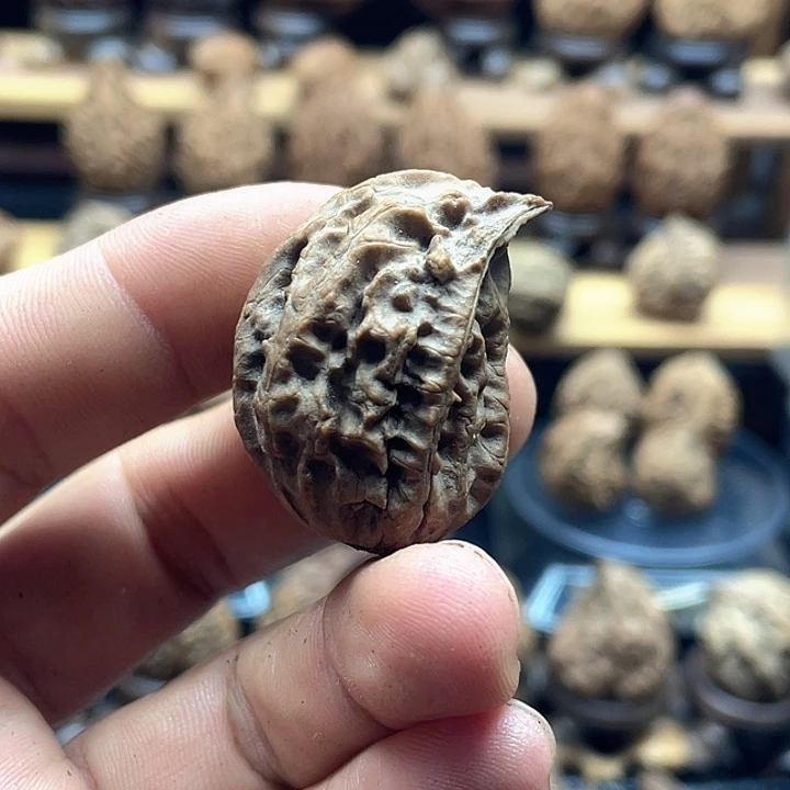 文玩核桃把件鸟头福利单