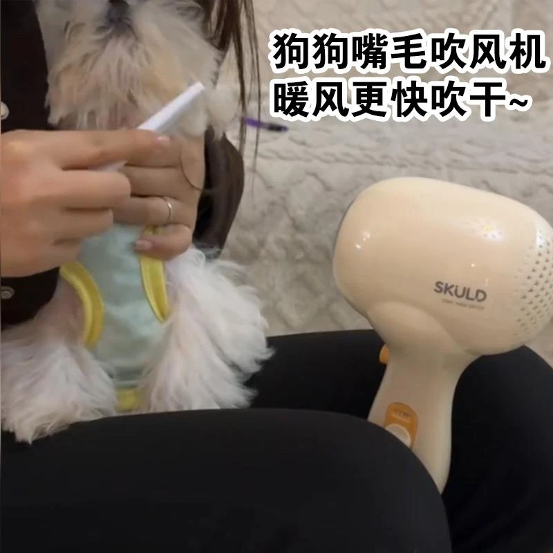 小狗狗专用嘴毛吹风机静音小型犬宠物面部脸部吹毛机比熊泰迪洗脸