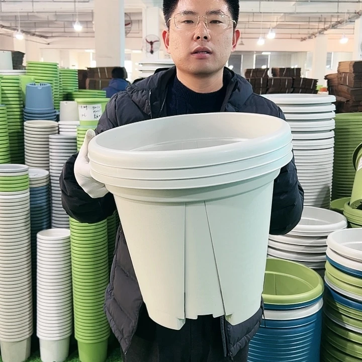 清仓青山口40高34灰白色5只无托