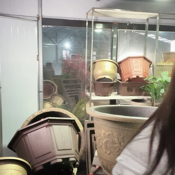 徐***彬八角80盆3个300元包邮