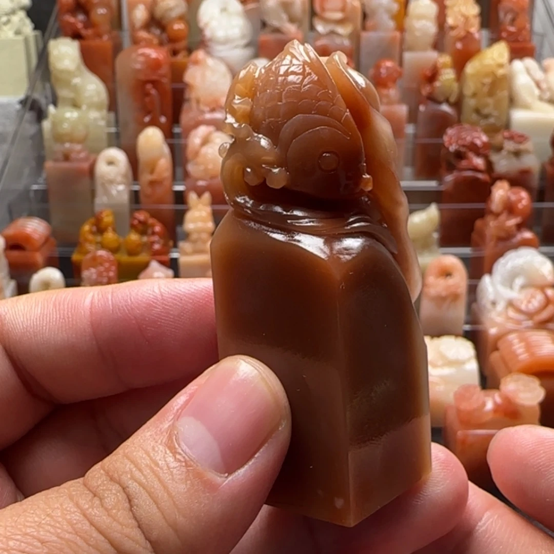 老挝石锦鲤  2.3×6.7