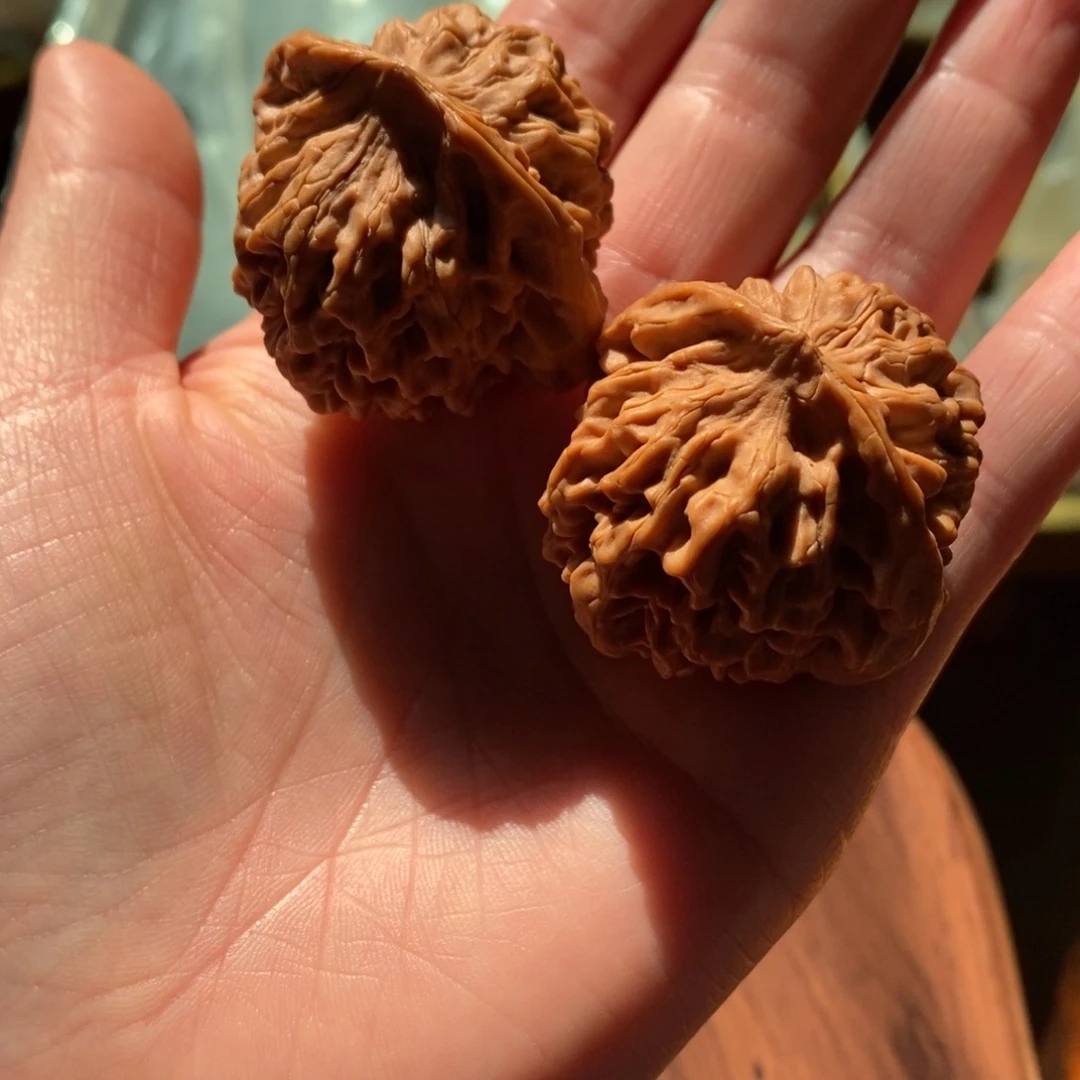 秦岭野生核桃秦闷