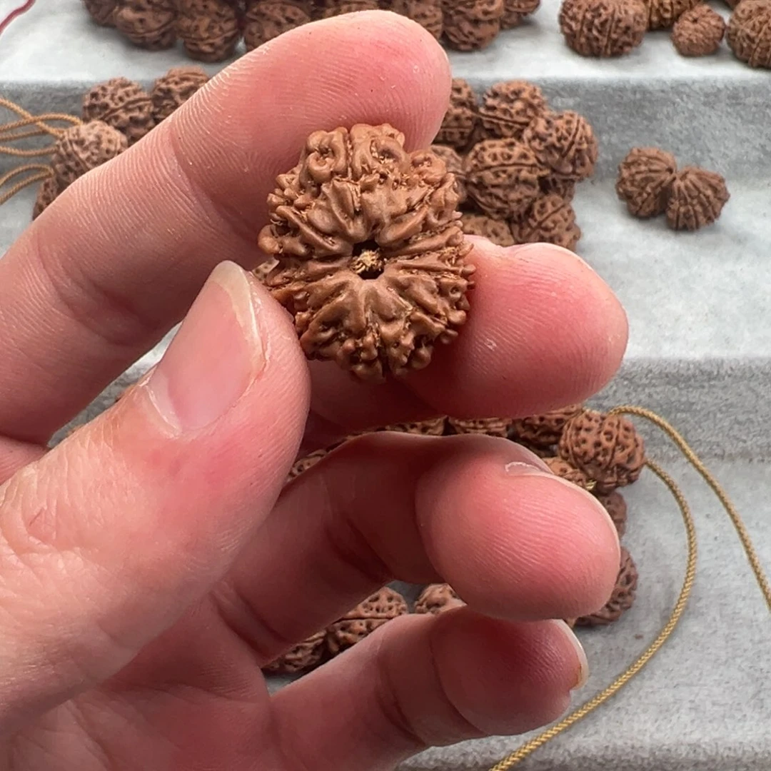 金刚菩提手串昊*多瓣