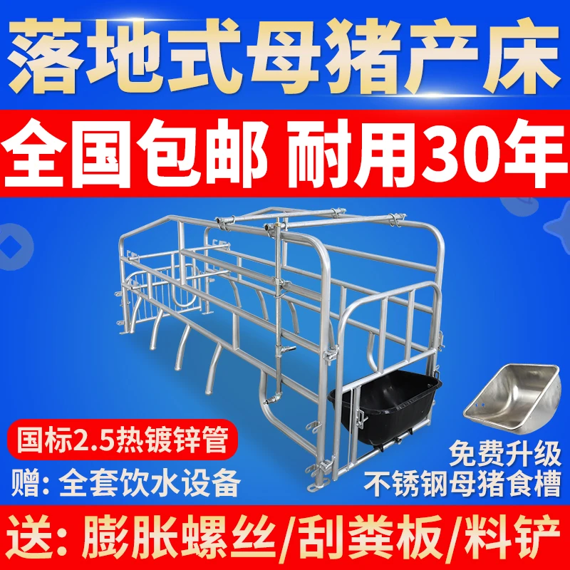 落地式母猪产床热镀2.5简易母猪产床定限位栏保育床猪场养殖设备