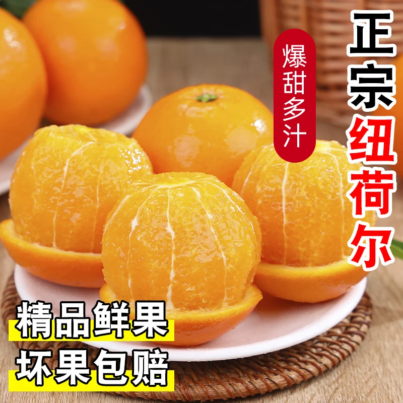 正宗新鲜纽荷尔脐橙子农家自种新鲜现摘水果皮薄多汁香甜可口