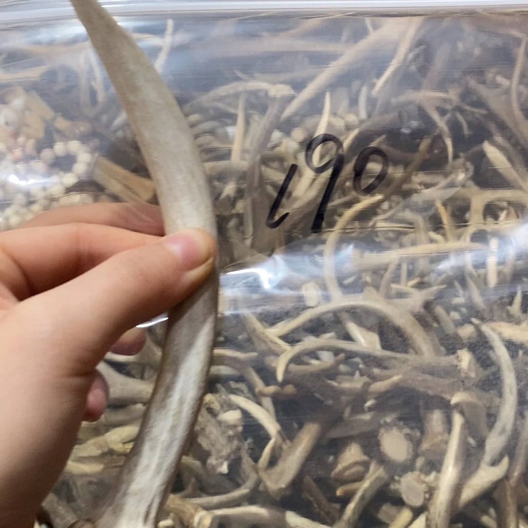 一****非金属鹿角鹿角鹿角