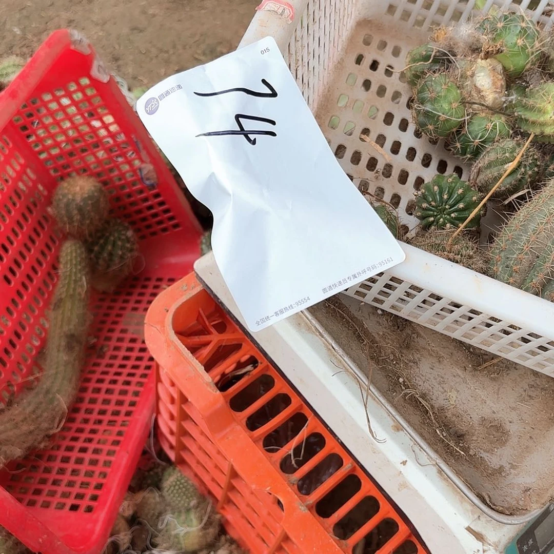 用****874侧牙混品瑕痴无售后