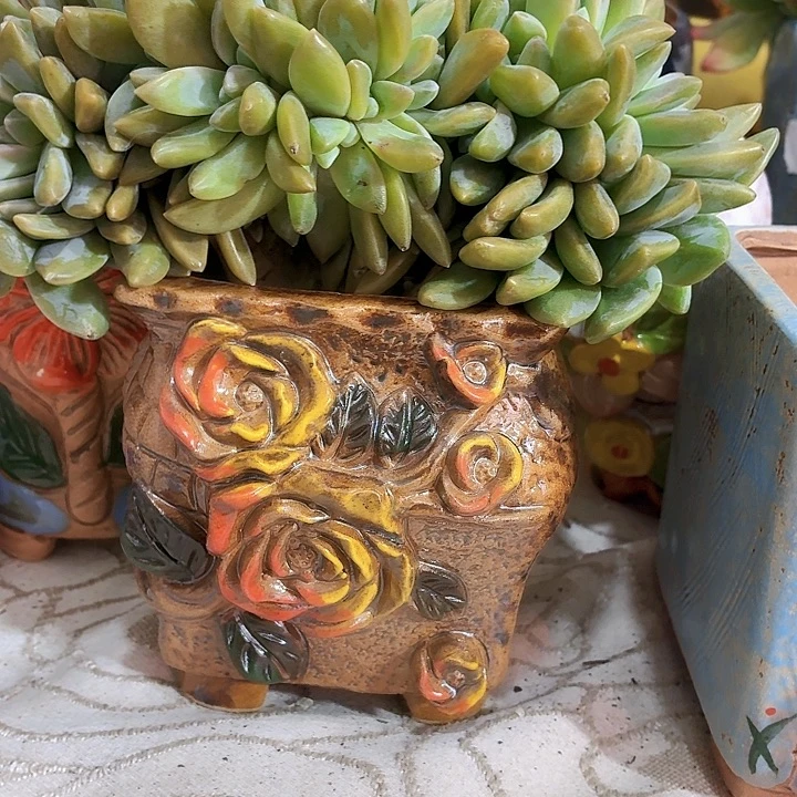 多肉花盆满15包邮