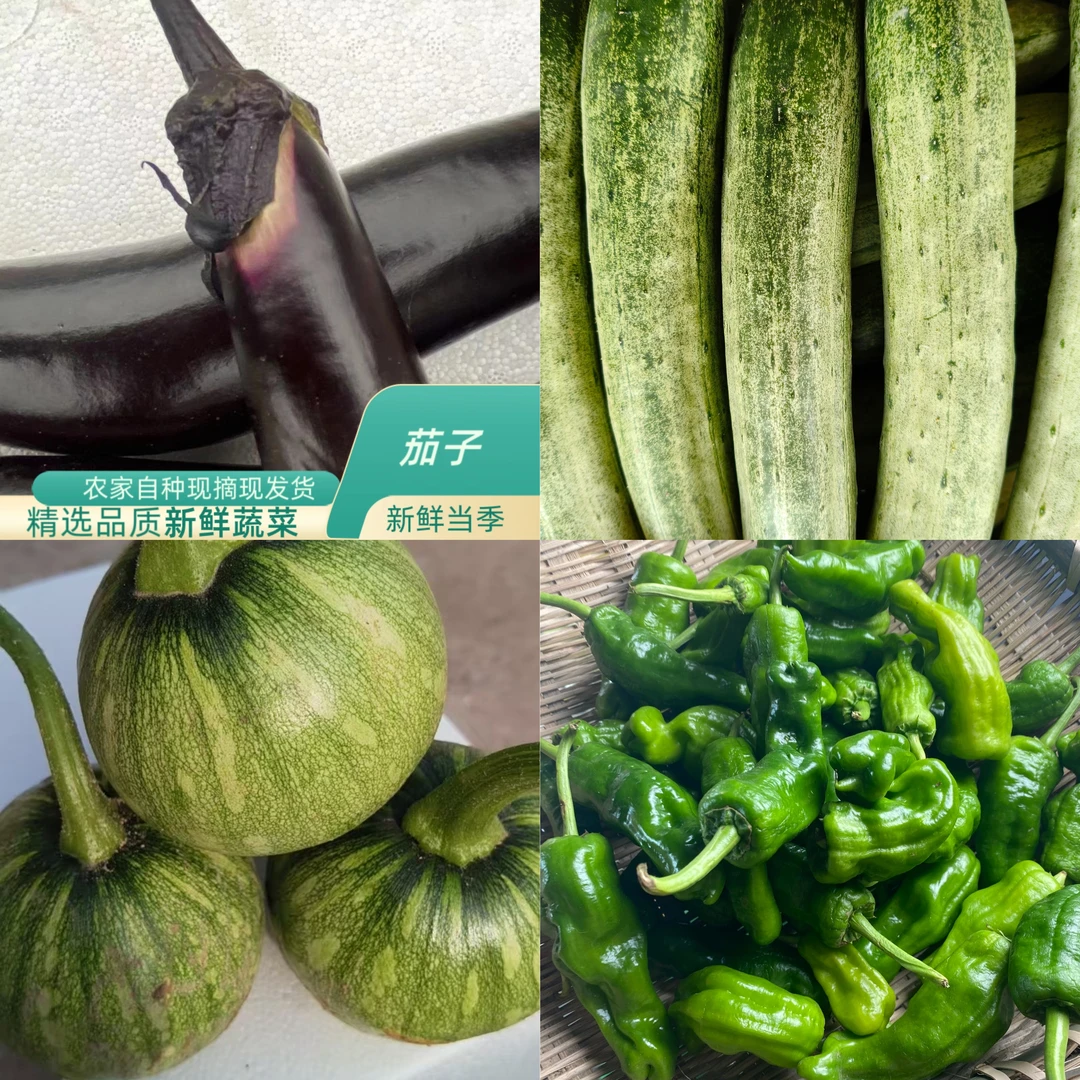 四川农家蔬菜组合套餐小南瓜黄瓜茄子虎皮椒