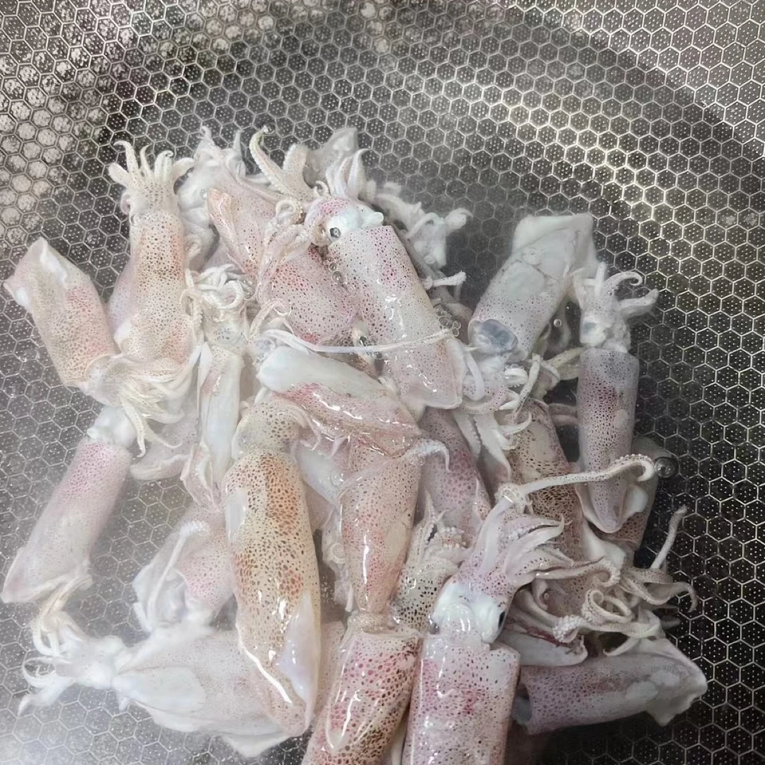 （小阿姨推荐）船冻一口管