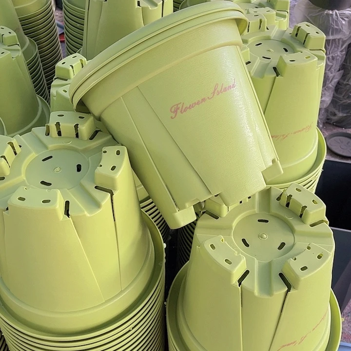 树脂青山6号果绿色4个