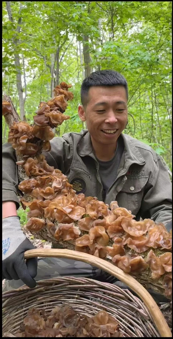原生态山木耳干货